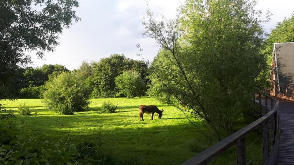 Lodge La Petite Motte